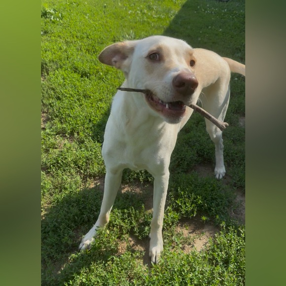 ๐ Small Fish Crafts Shenanigans: HOโS NO THEME HALLOWEEN Share Show Today ๐ - Picture 8 of 11